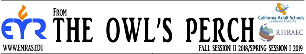 From the Owl's Perch January 2019